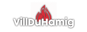 VillDuHaMig logo